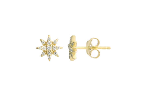 Leposa Star Earrings